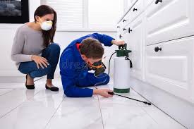 Best Bed Bug Extermination  in Cupertino, CA